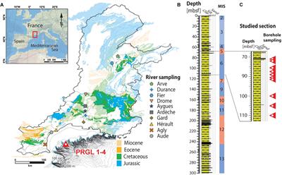 Quantifying Biogenic Versus Detrital Carbonates on Marine Shelf: An Isotopic Approach